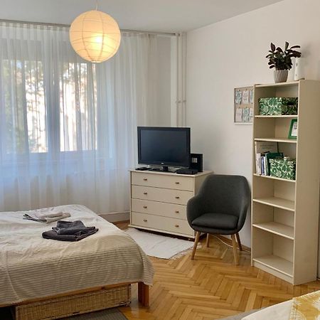 Mermaid House Apartman Appartement Szeged Buitenkant foto